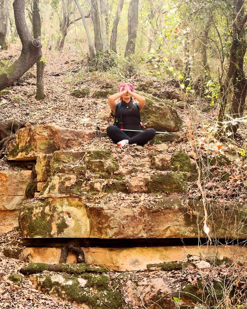 Stillness on the stone ledge in the forest